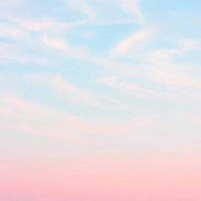 一码一肖100准资料应用下载手机版